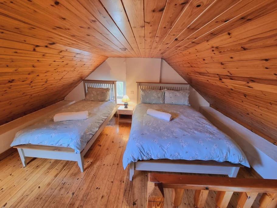 Cottage Skelligs Coast, Ring Of Kerry Кэрсивин Экстерьер фото